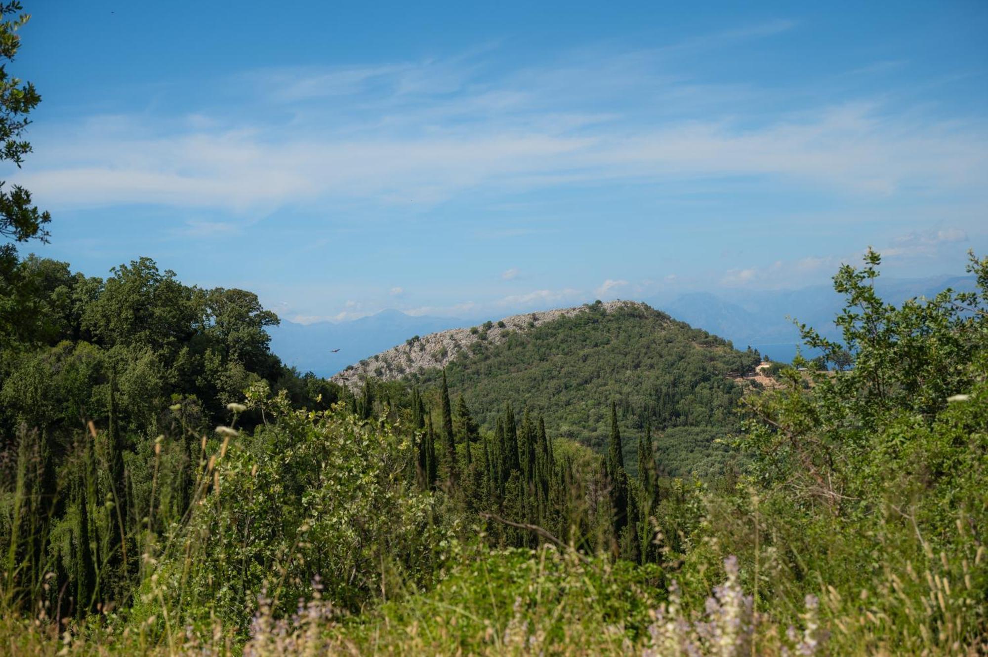 Galini Vines - Authentic Corfu Village Life Wifi Ac