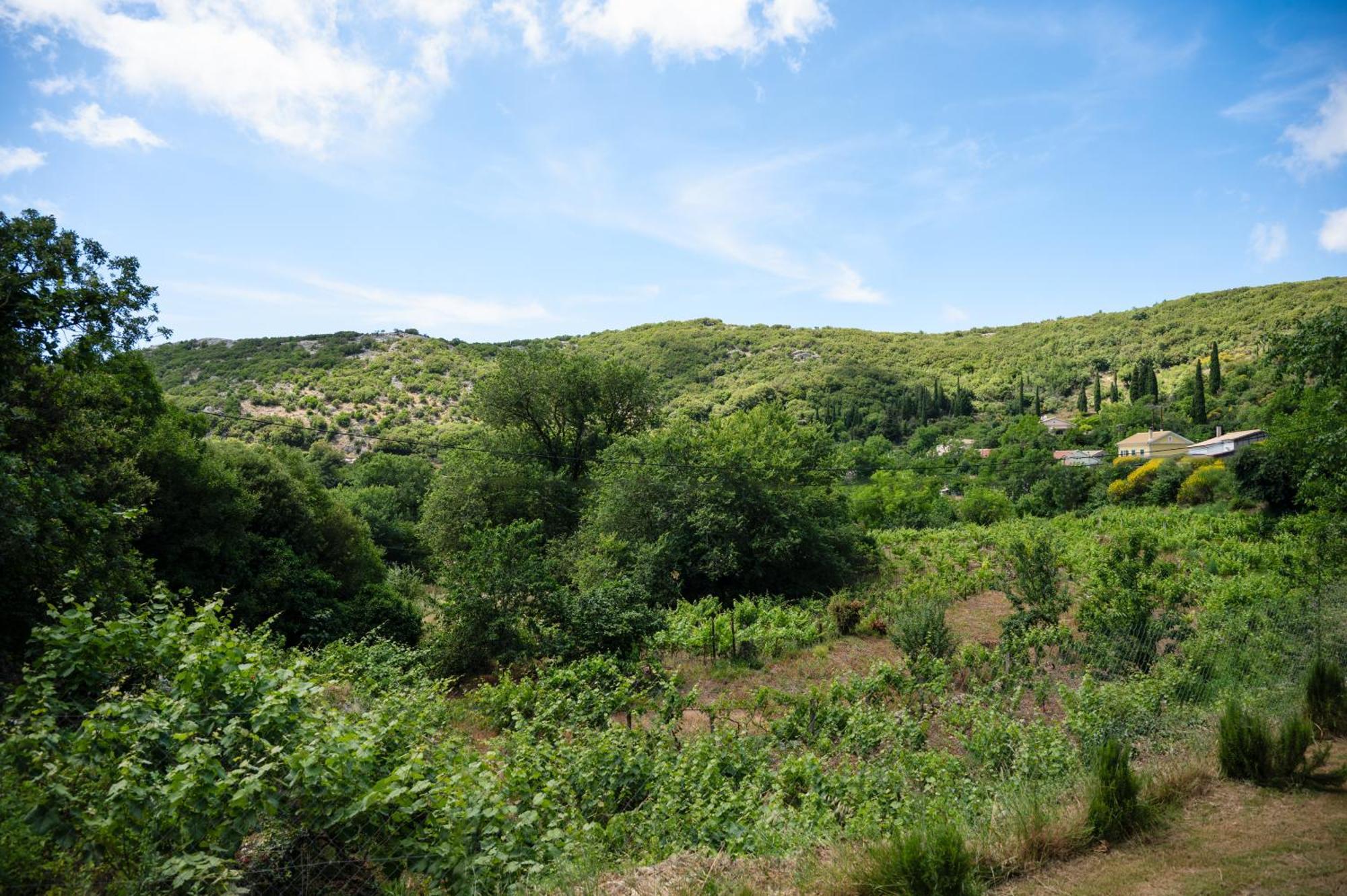 Vakantiehuis Galini Vines - Authentic Corfu Village Life Wifi Ac