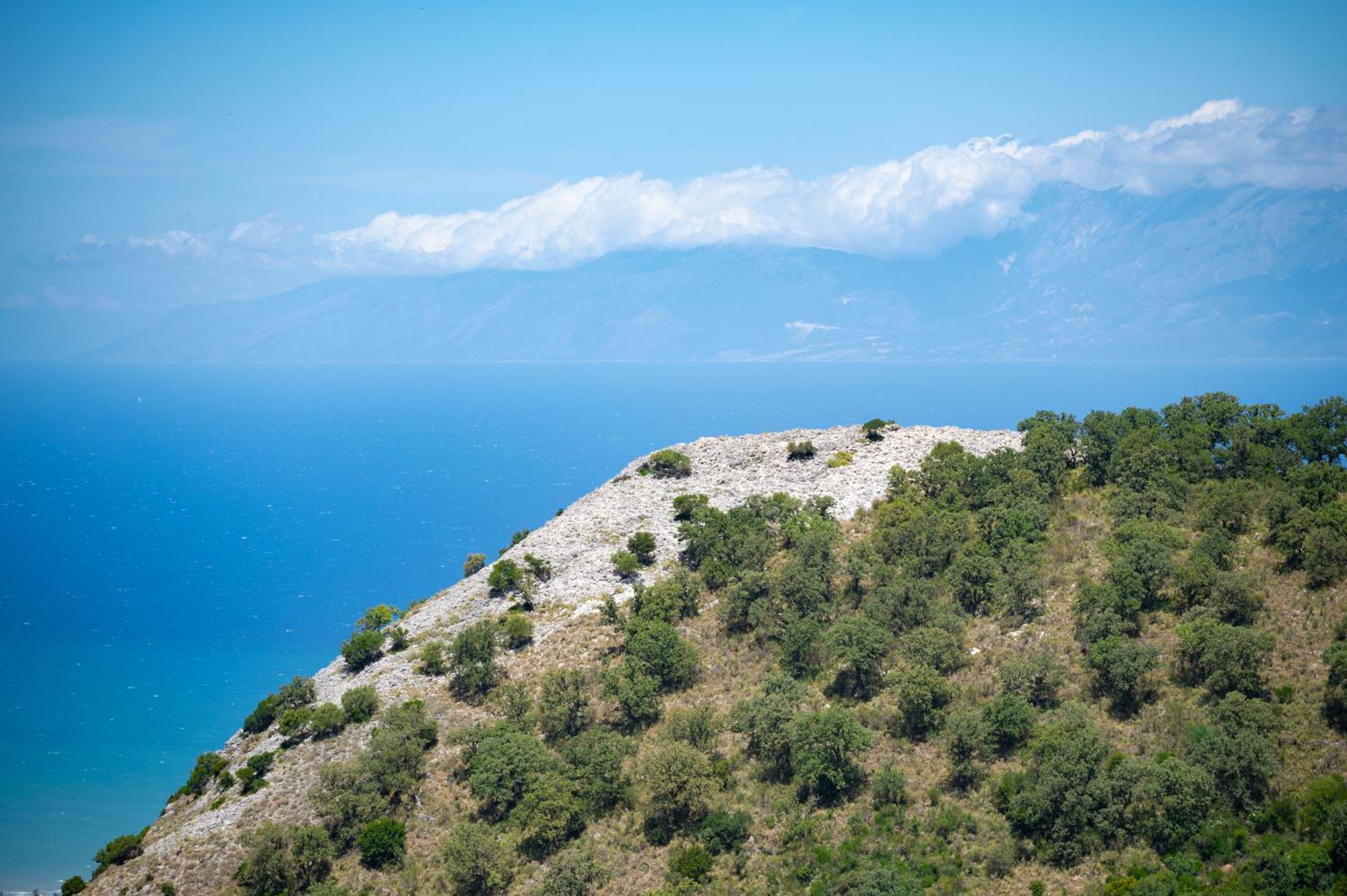 Vakantiehuis Galini Vines - Authentic Corfu Village Life Wifi Ac *