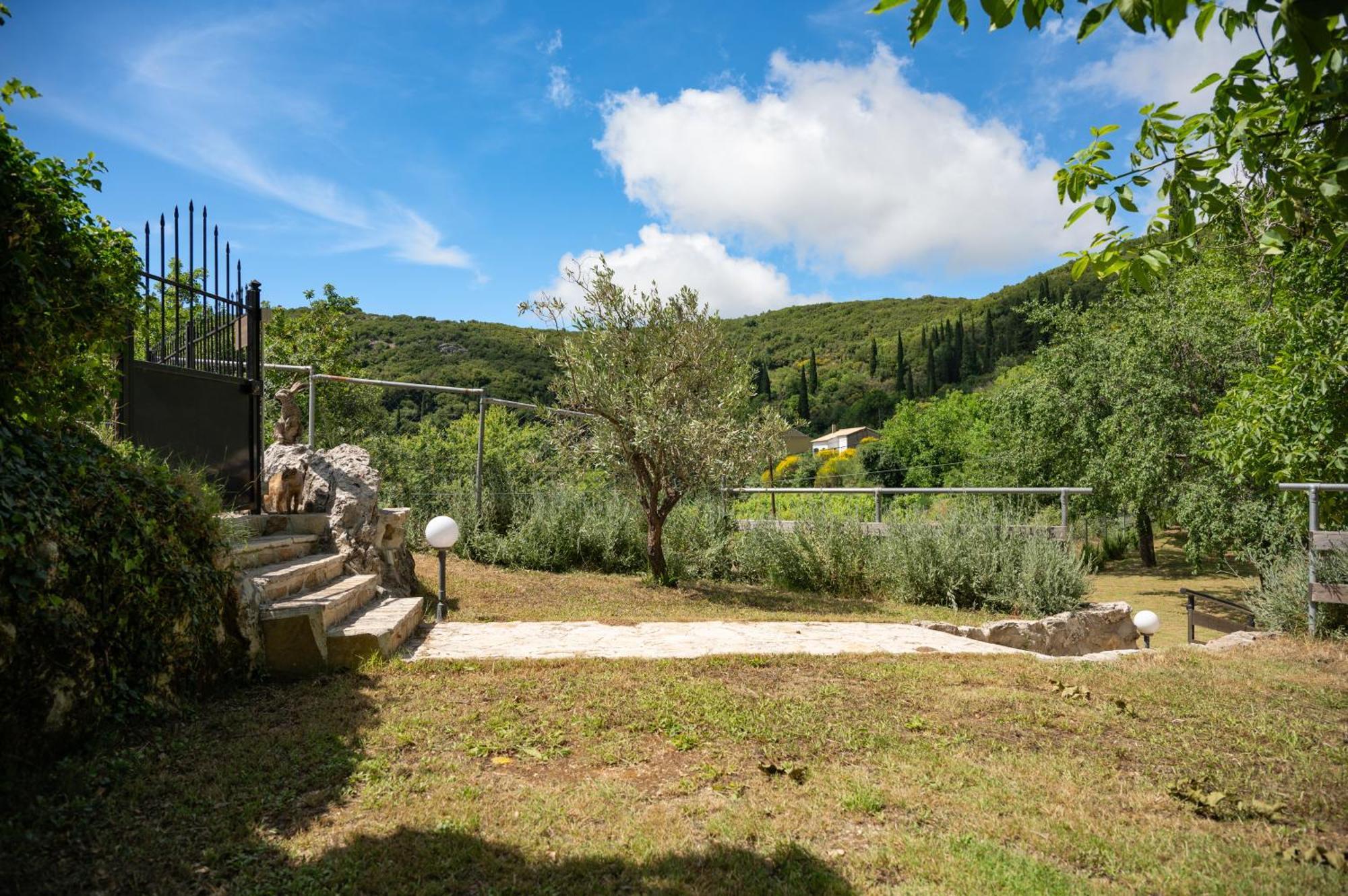 Vakantiehuis Galini Vines - Authentic Corfu Village Life Wifi Ac Petáleia