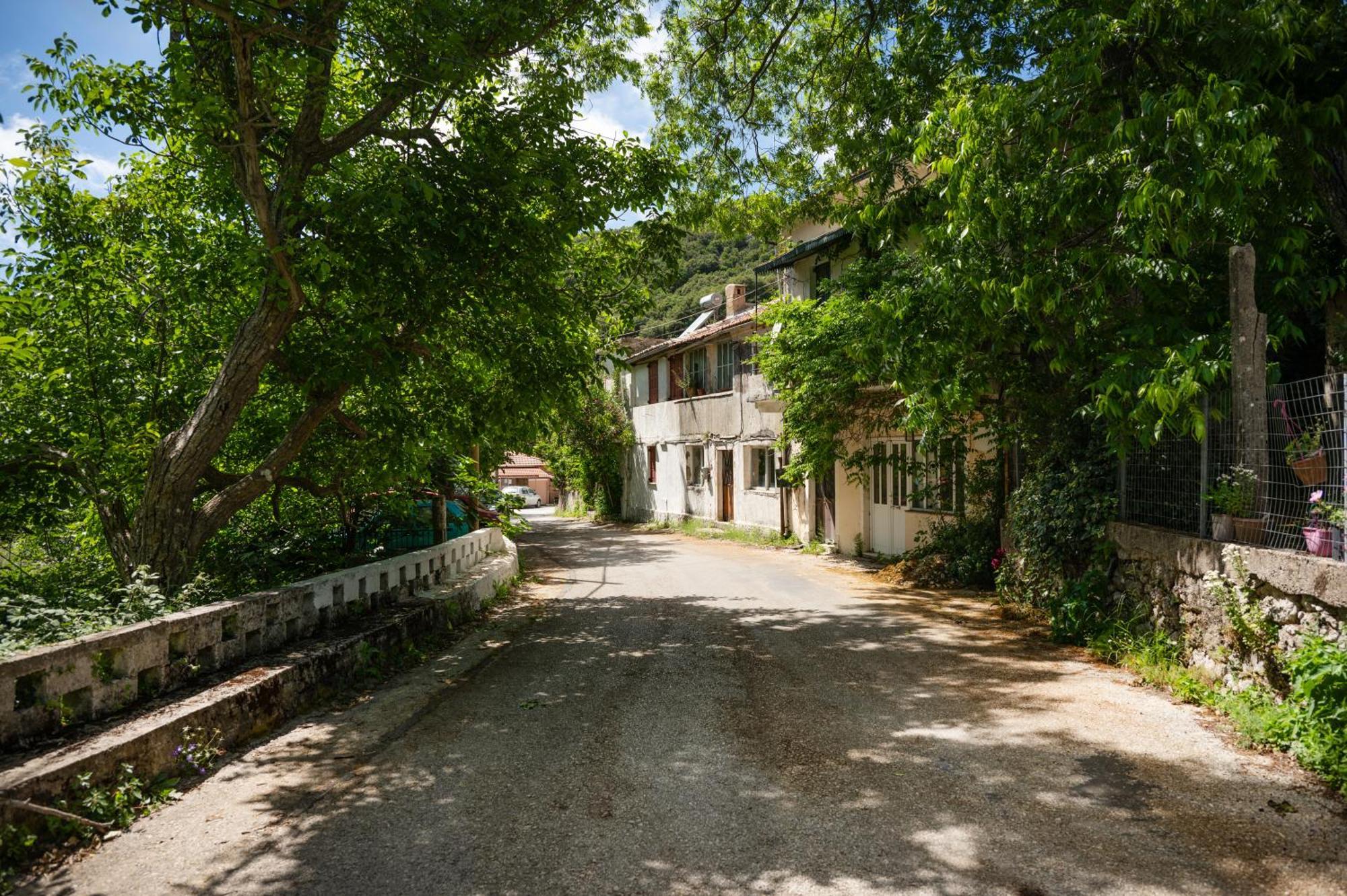 Galini Vines - Authentic Corfu Village Life Wifi Ac * Petáleia